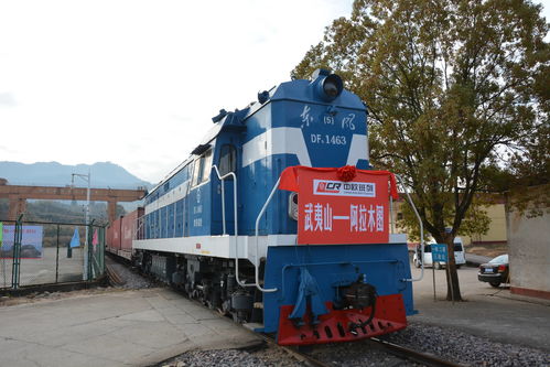 全球復蘇前景仍不確定，中國經濟穩定器作用凸顯——以道路貨物運輸為觀察視角